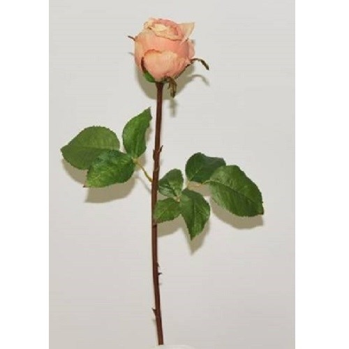 Роза персиковая (искусственная) GL - фото 30819