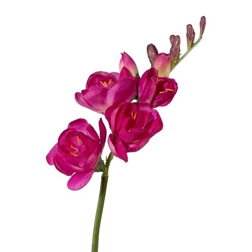 Фрезия H50 см ярко-розовая (искусственная) GL - фото 30840