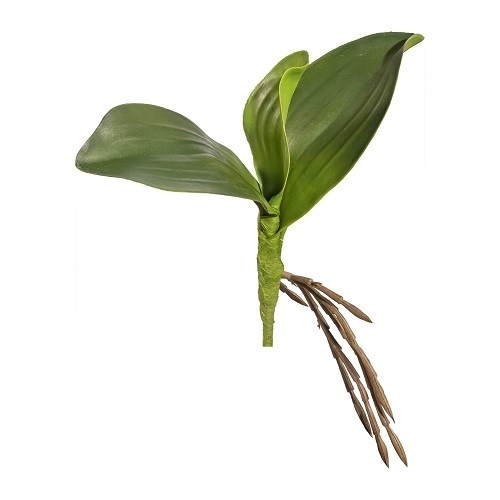 Фаленопсис листья с корнями  H25 см   (искусственная) GL - фото 30904