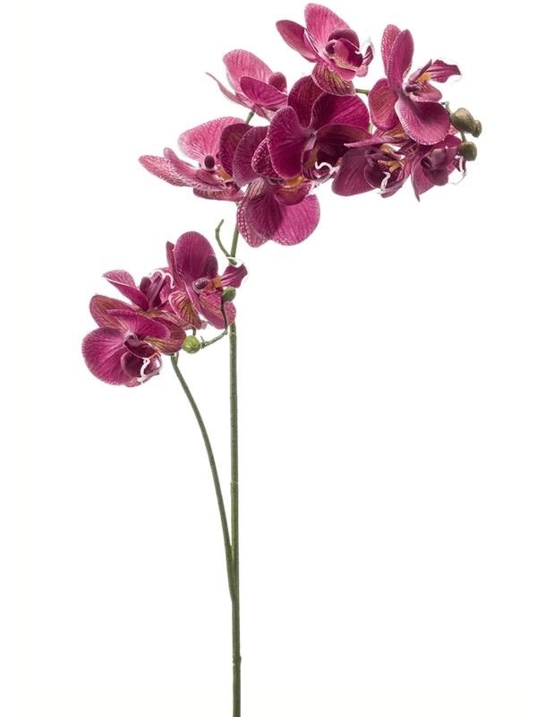 Орхидея Фаленопсис двойная ветвь фиолетовая realrouch (искусственная) Nieuwkoop Europe - фото 34164