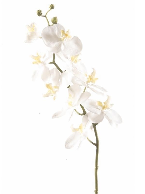 Орхидея Фаленопсис ветвь белая искусственная (искусственная) Nieuwkoop Europe - фото 34166