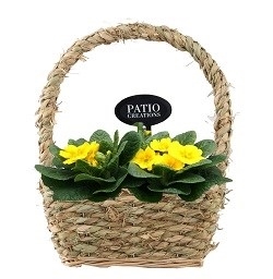 Композиция растений  662 (GL) 18465 - фото 34244