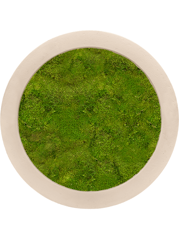 Картина из мха polystone natural 40/5 100% flat moss - фото 36232