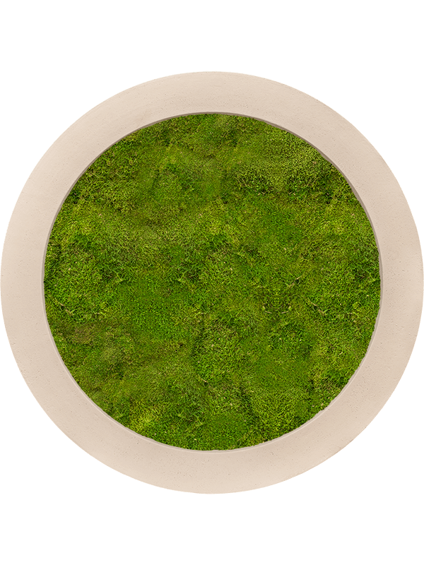 Картина из мха polystone natural 80/5 100% flat moss - фото 36233
