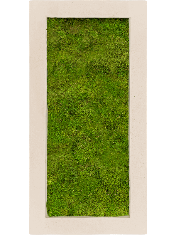 Картина из мха polystone natural 100/50/5 100% flat moss - фото 36235