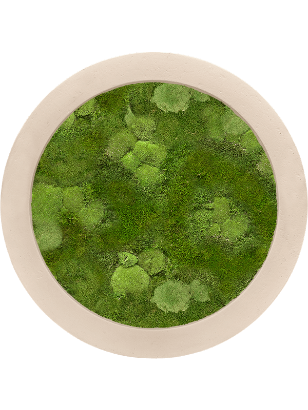 Картина из мха polystone natural 40/5 30% ball- and 70% flat moss - фото 36245