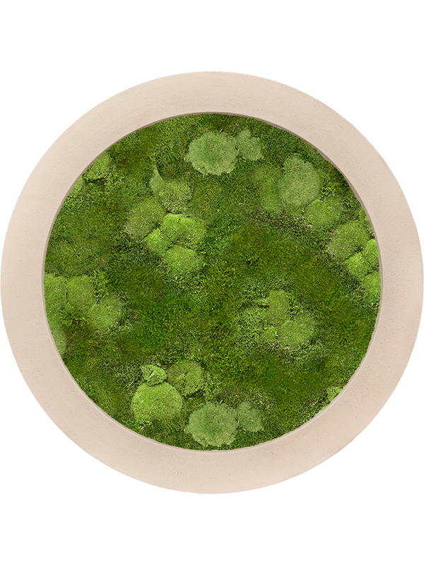 Картина из мха polystone natural 80/5 30% ball- and 70% flat moss - фото 36246