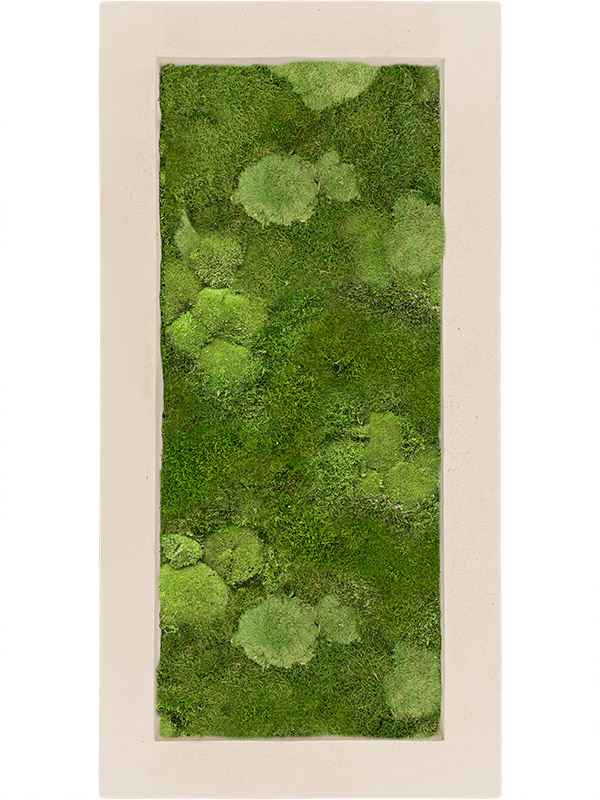 Картина из мха polystone natural 100/50/5 30% ball- and 70% flat moss - фото 36248