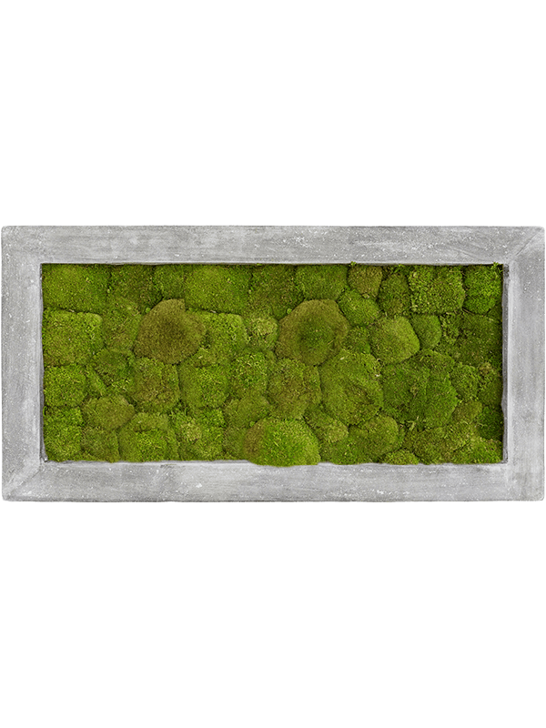 Картина из мха polystone raw grey 100/50/5 100% ball moss - фото 36252