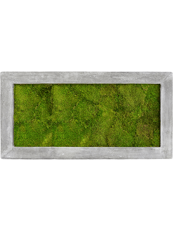 Картина из мха polystone raw grey 100/50/5 100% flat moss - фото 36256