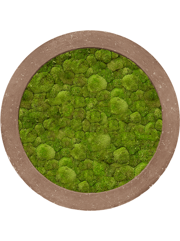 Картина из мха polystone rock 60/5 100% ball moss - фото 36276