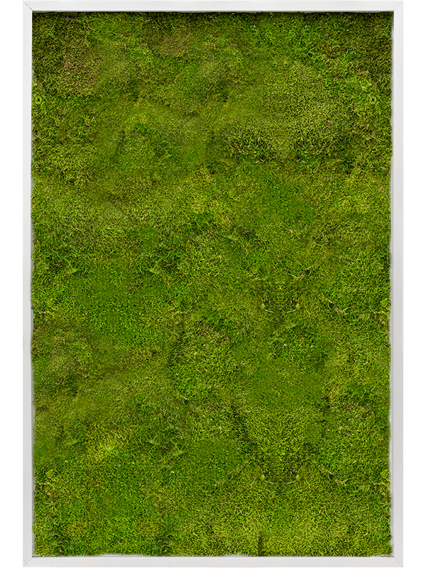 Картина из мха aluminum 100% flat moss (искусственная) Nieuwkoop Europe - фото 38029