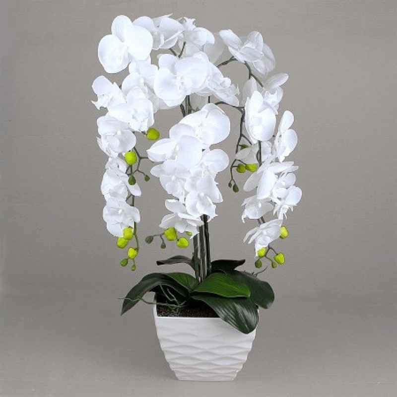 ЦК80*5/33-1 Орхидея Фаленопсис(белая) h65см(латекс) в интерьерном кашпо - фото 53976