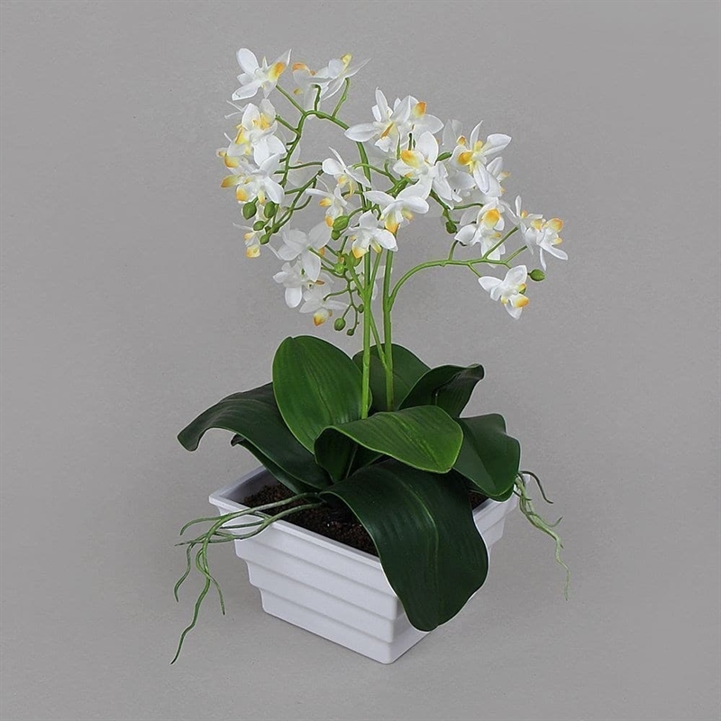 ЦС35/33-1 Орхидея (белая) h26см в интерьерном кашпо d15см - фото 53982