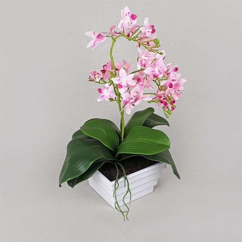 ЦС35/33-2 Орхидея (розовая) h26см в интерьерном кашпо d15см - фото 53983