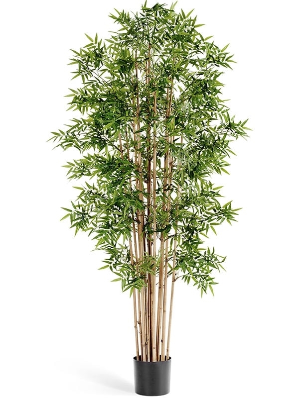 Бамбук Новый японский (искусственный) Treez Collection - фото 64619