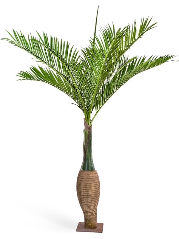 Бутылочная пальма 345 см (искусственная) Treez Collection - фото 64622