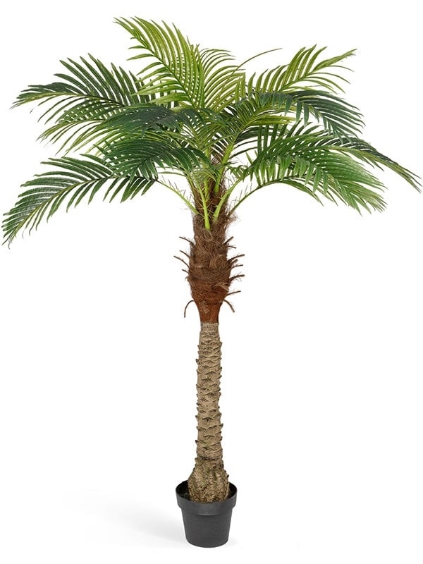 Финиковая пальма Новая (искусственная) Treez Collection - фото 64636