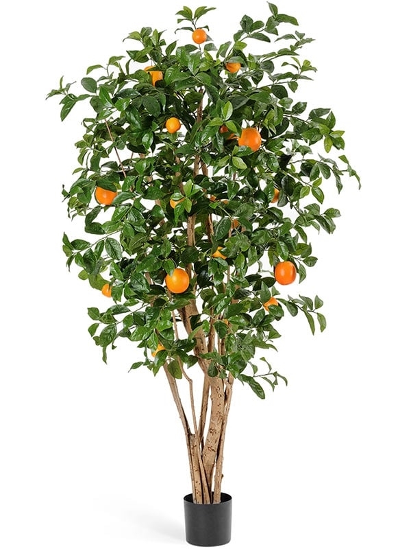 Апельсиновое дерево с плодами (искусственное) Treez Collection - фото 64637