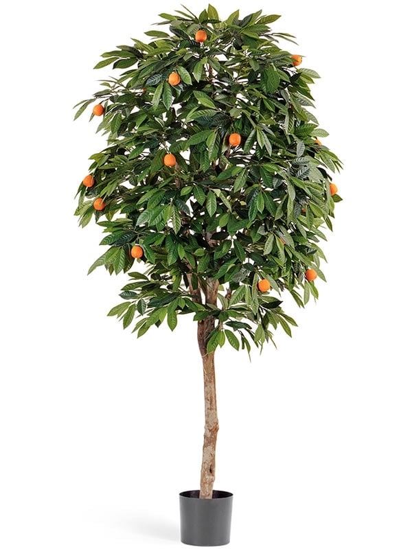 Мандарин Оранж (искусственный) Treez Collection - фото 64651