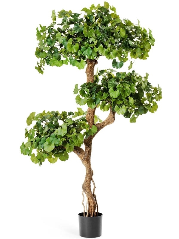 Дерево Гинкго на забавном стволе 145 см (искусственное) Treez Collection - фото 64696