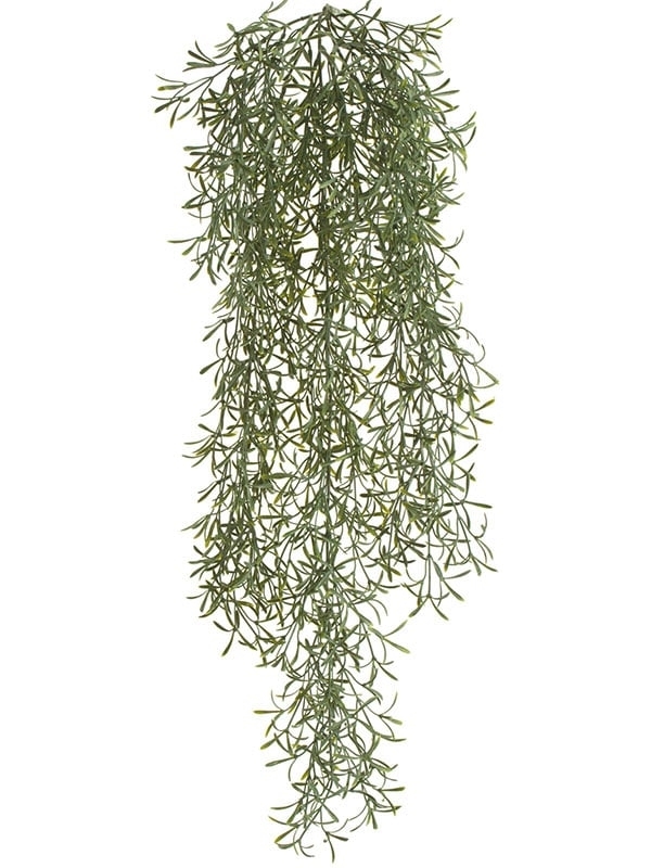 Аспарагус Шпренгера куст св. серый припылённый ампельный (искусственный) Treez Collection - фото 64801