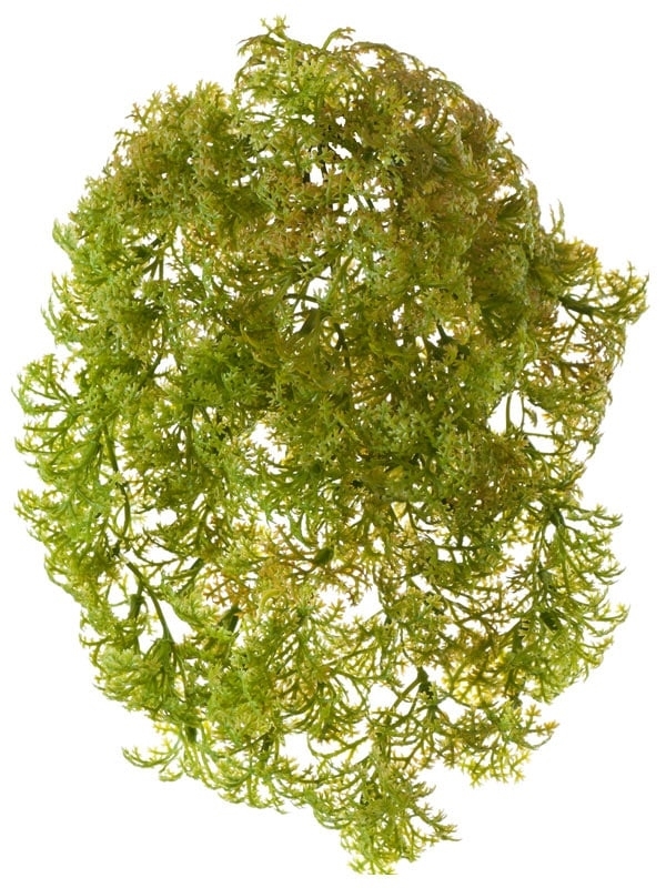 Ватер-грасс (Рясковый мох) куст св.зелёный с св.коричневым (искусственный) Treez Collection - фото 64804