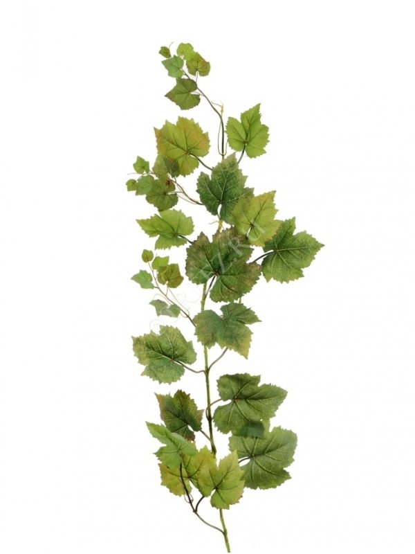 Виноградная ветвь-гирлянда натуральная (искусственная) Treez Collection - фото 64807