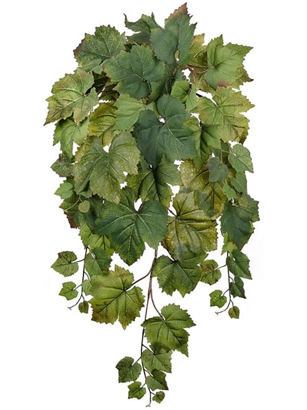 Виноградный куст ампельный Натуральный (искусственный) Treez Collection - фото 64810