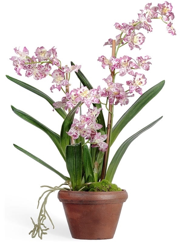 Орхидея Дендробиум сиренево-белая в кашпо (искусственная) Treez Collection - фото 64818