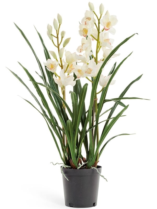 Орхидея Цимбидиум белая куст в кашпо 2 ветки (искусственная) Treez Collection - фото 64820