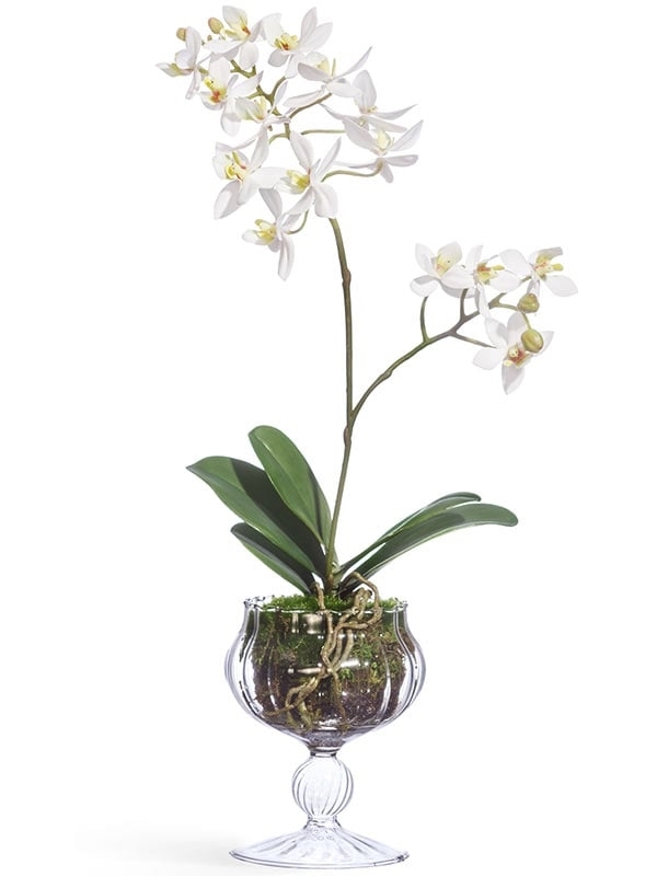 Орхидея Мини-Фаленопсис в стеклянной вазочке с мхом, корнями, землёй (искусственная) Treez Collection - фото 64824