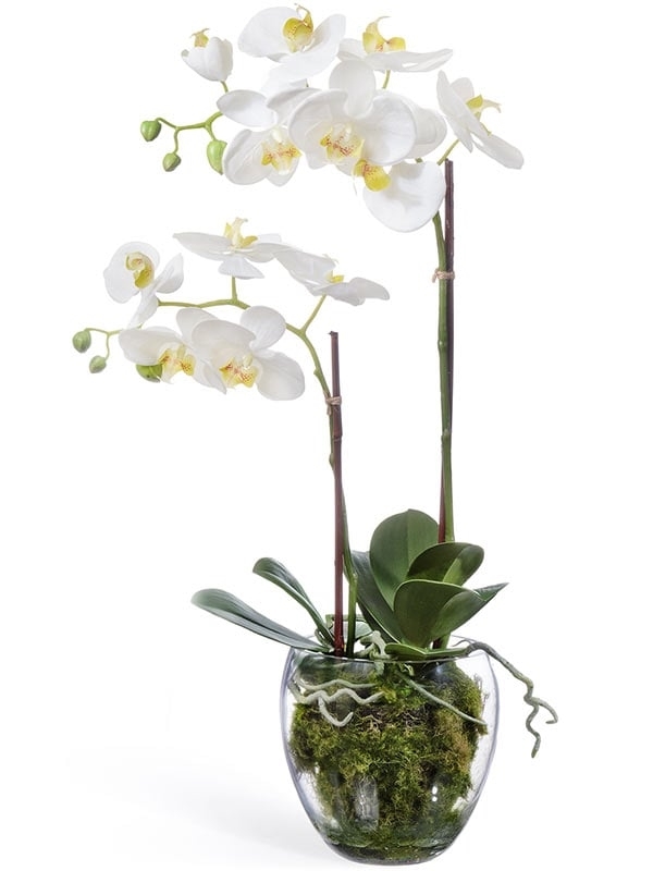 Орхидея Фаленопсис белая с мхом, корнями, землёй (искусственная) Treez Collection - фото 64827