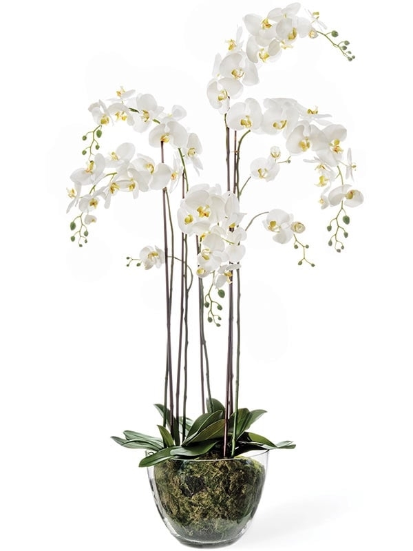 Орхидея Фаленопсис белая с мхом, корнями, землёй (искусственная) Treez Collection - фото 64829
