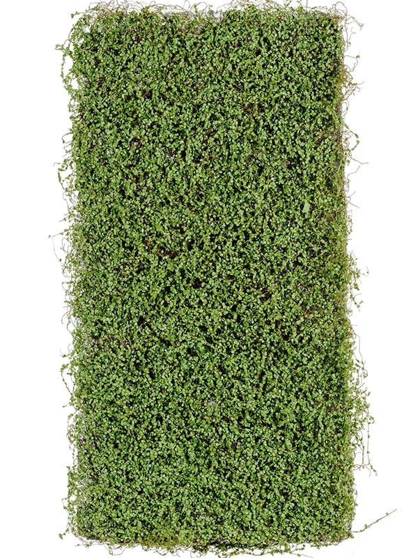 Мох рясковый св.зеленый (полотно) прямоугольник (искусственный) Treez Collection - фото 64838