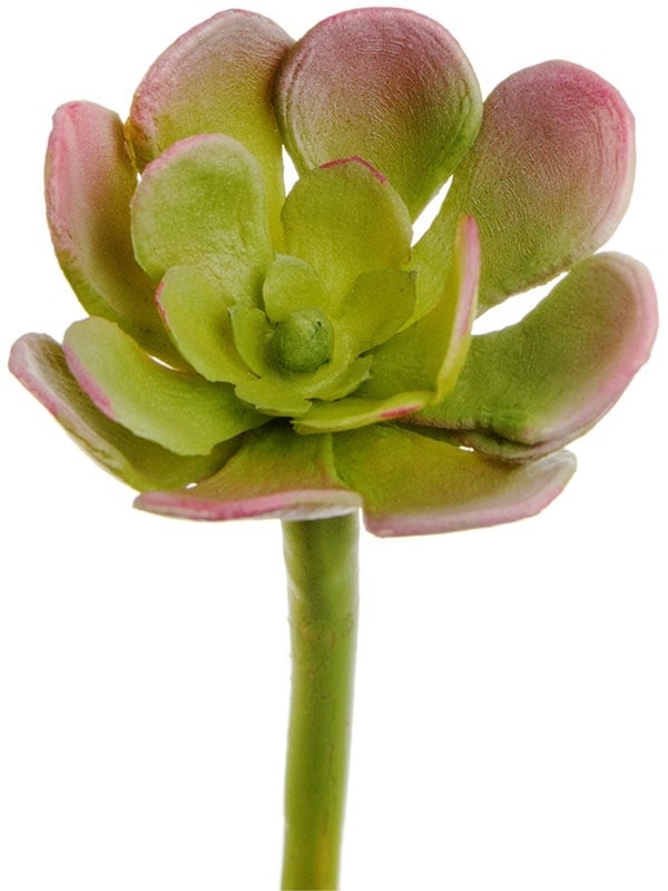 Мини-суккулент Эониум Декорум св.зелено-розовый (искусственный) Treez Collection - фото 64950