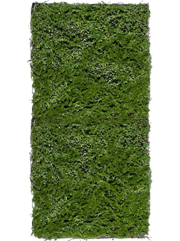 Мох Микс Рясковый-Сфагнум (полотно) (искусственный) Treez Collection - фото 65001