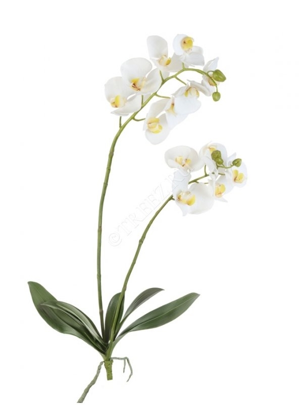 Орхидея Фаленопсис белая куст с корнями  (искусственная) Treez Collection - фото 65034