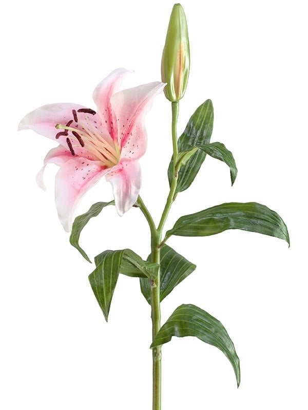 Лилия бело-розовая (искусственная) Treez Collection - фото 65075