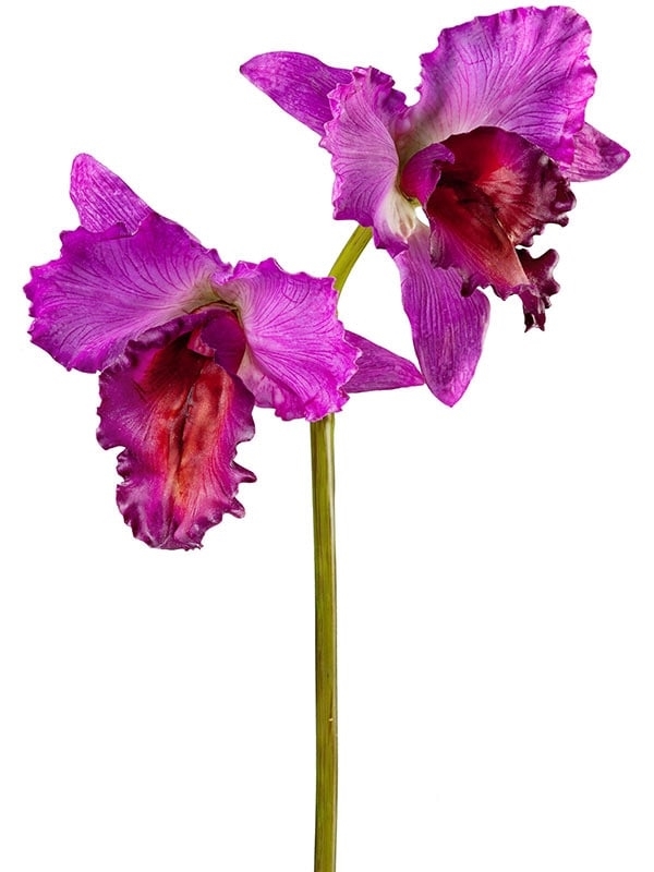 Орхидея Каттлея (искусственная) крупная тёмно-сиреневая (серия MDP) Treez Collection - фото 65101