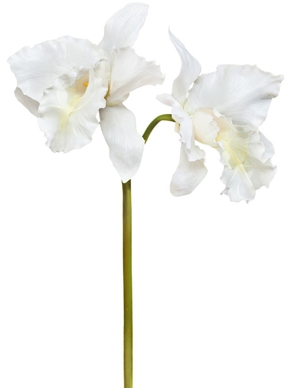 Орхидея Каттлея (искусственная) крупная белая (серия MDP) Treez Collection - фото 65102