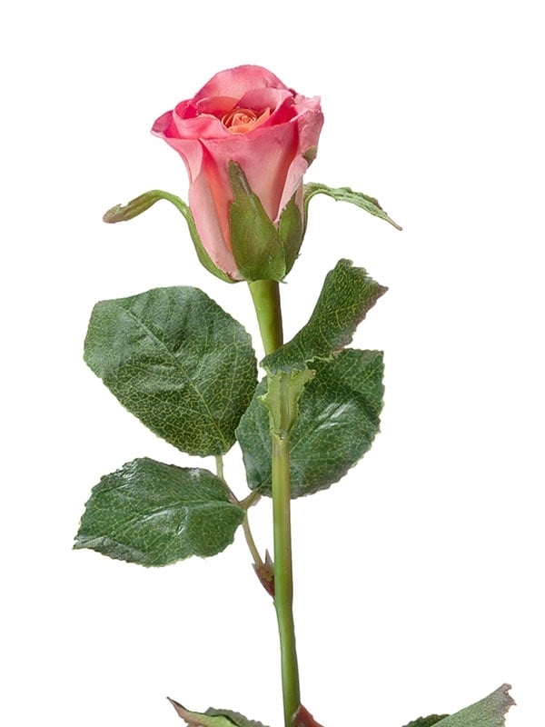 Роза Анабель розовая (искусственная) Treez Collection - фото 65113