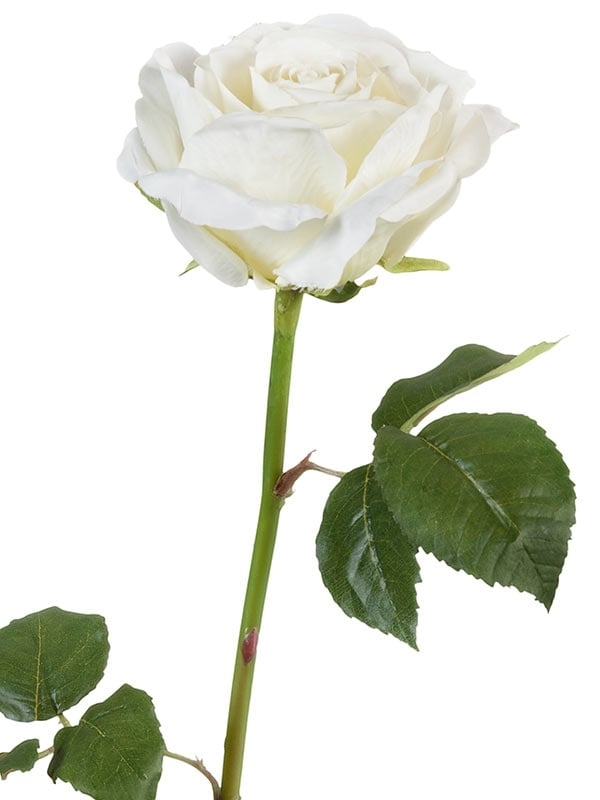 Роза Верди белая (искусственная) Treez Collection - фото 65132