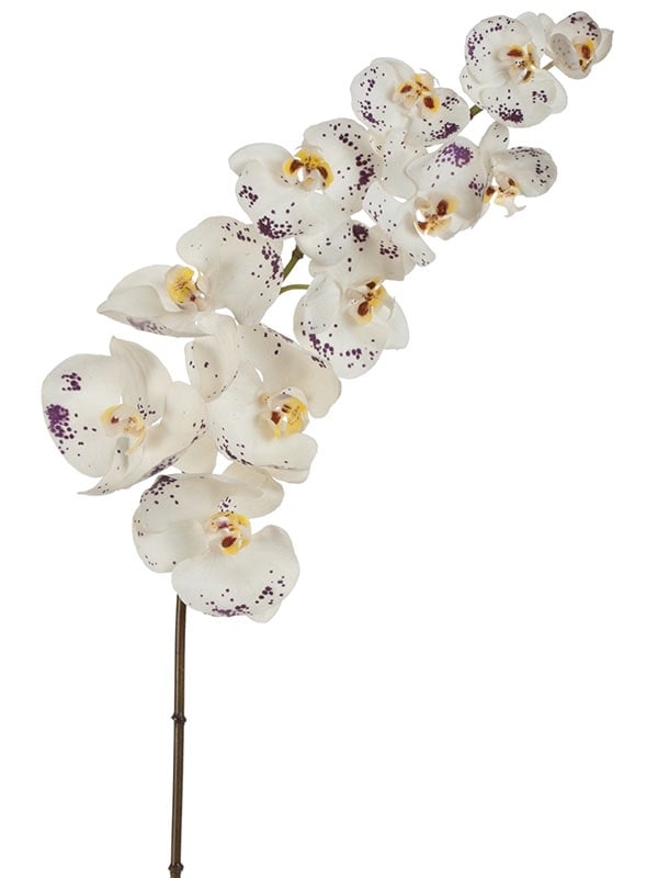 Орхидея Фаленопсис Super Real Touch цвет естественный белый с фиолет.крапинами (искусственная) Treez Collection - фото 65143