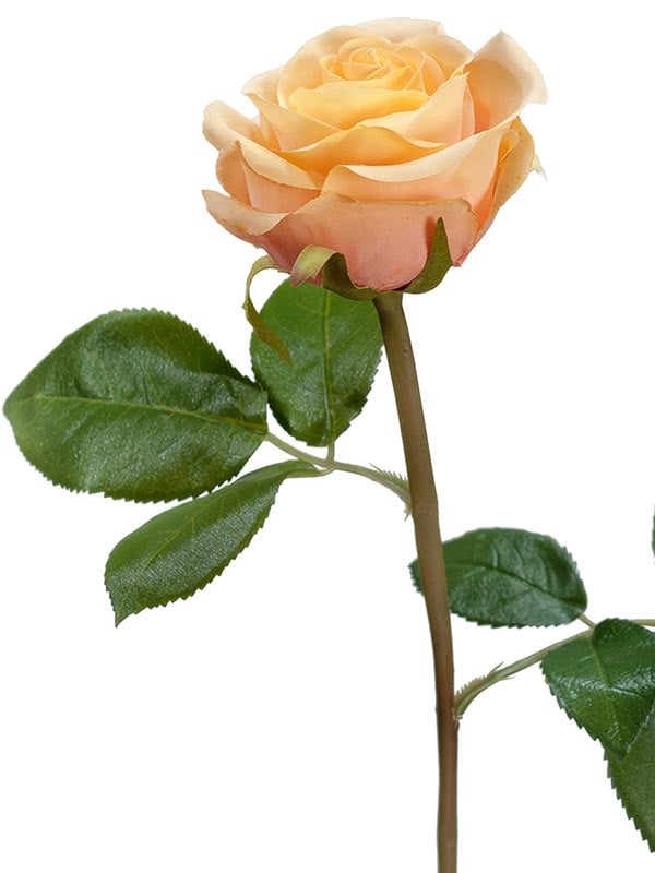 Роза Флорибунда Мидл крем-персик (искусственная) Treez Collection - фото 65188