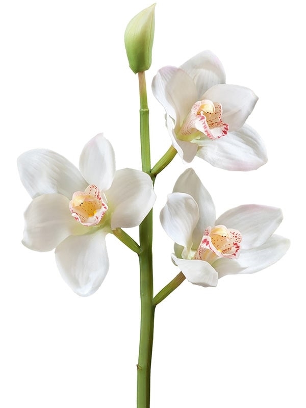 Орхидея Цимбидиум ветвь белая малая (искусственная) Treez Collection - фото 65191