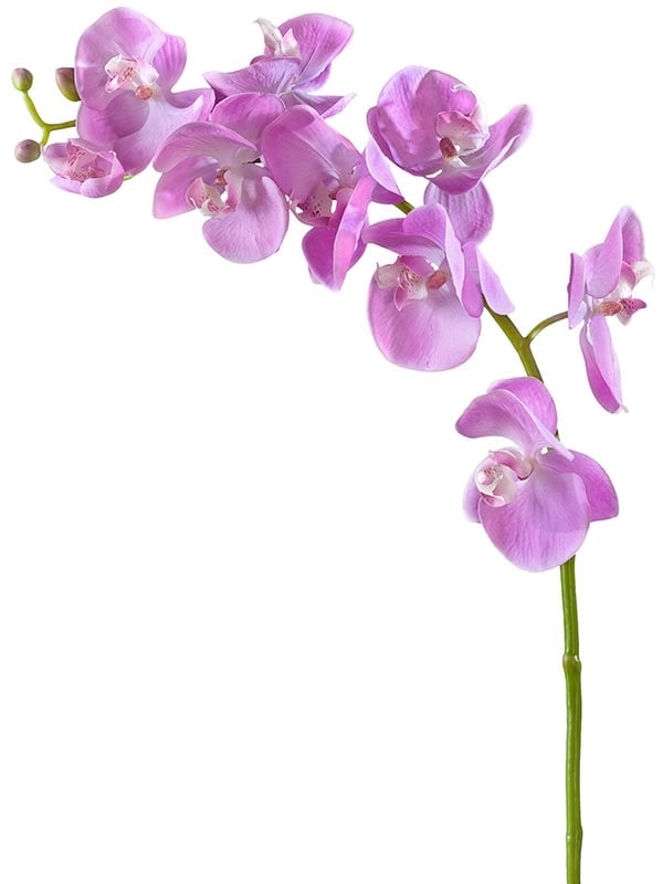Орхидея Фаленопсис Мидл розово-белая (искусственная) Treez Collection - фото 65194