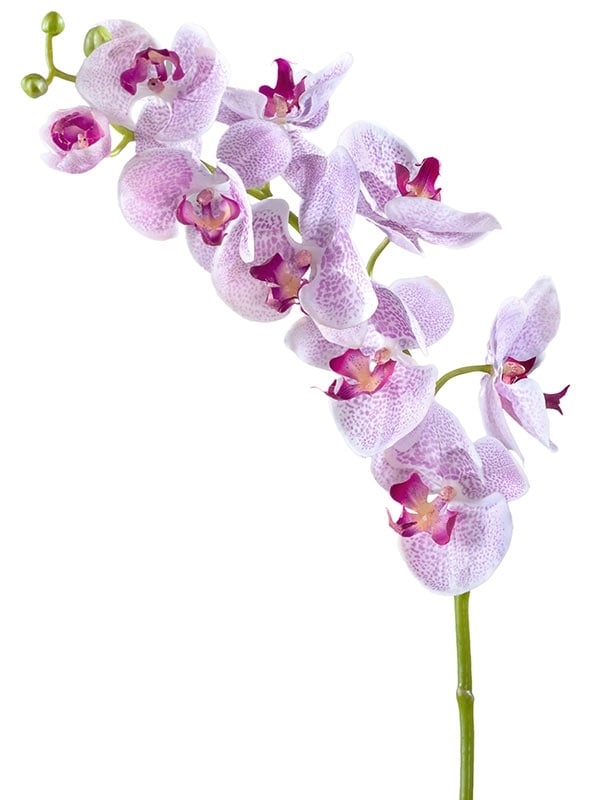 Орхидея Фаленопсис Мидл белая с сирен. крапинами (искусственная) Treez Collection - фото 65195
