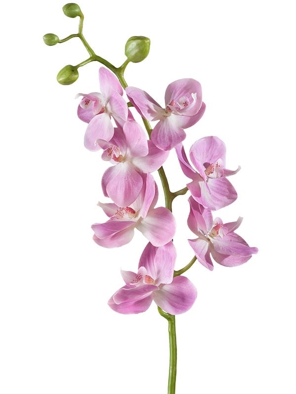 Орхидея Фаленопсис Элегант розово-белая (искусственная) Treez Collection - фото 65198