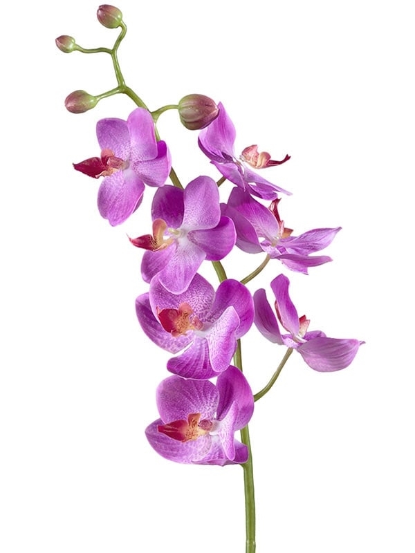 Орхидея Фаленопсис Элегант светло-фиолет (искусственная) Treez Collection - фото 65199